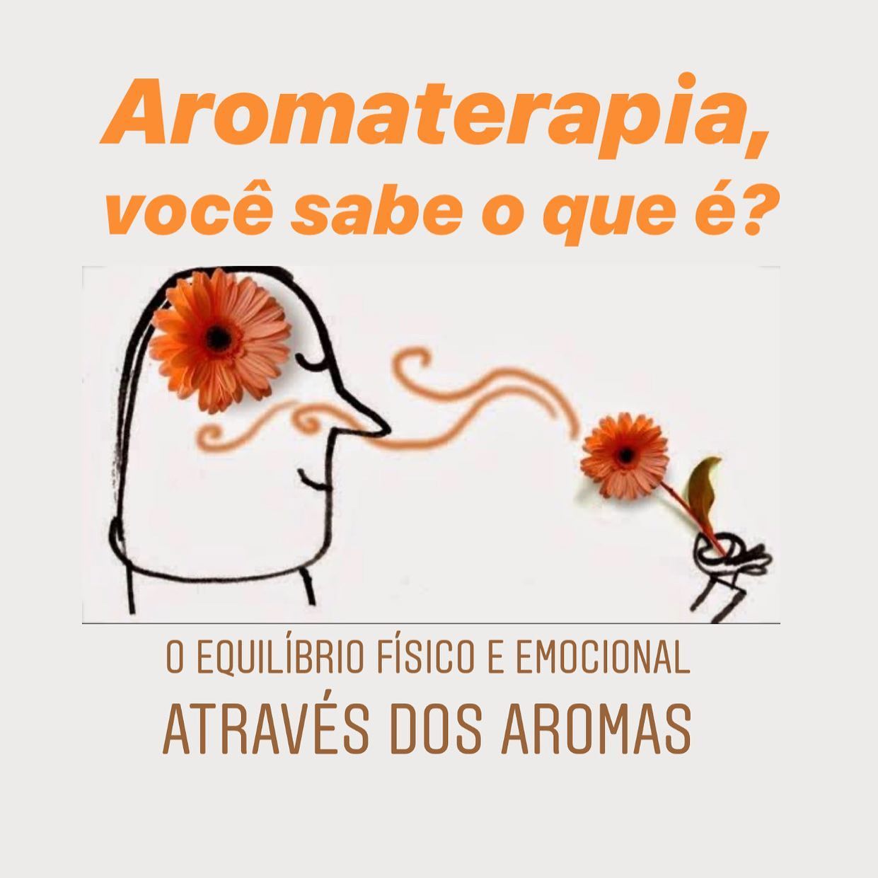 Terapia Holística: manual guia de Aromaterapia