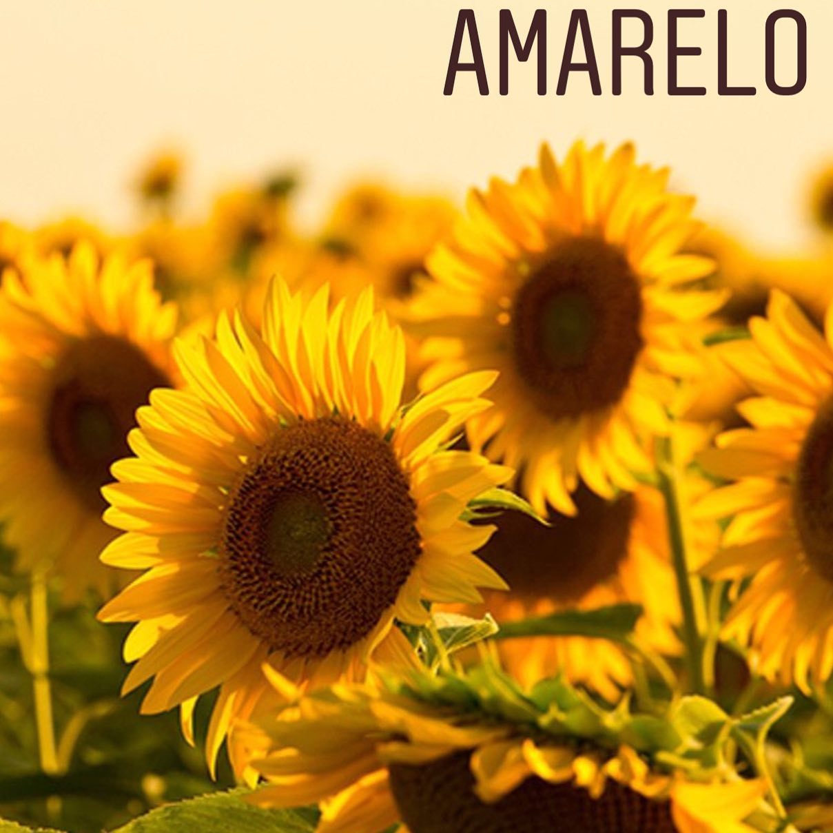 cromoterapia: cor amarelo