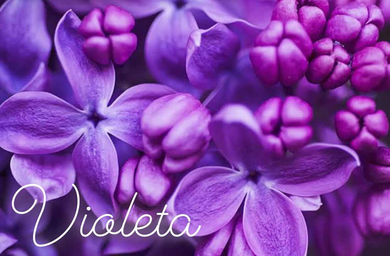 cromoterapia: cor violeta